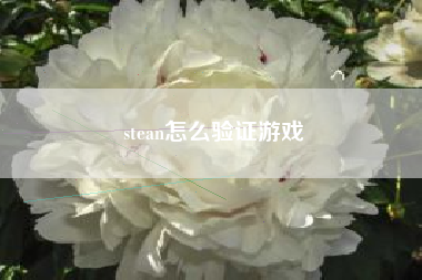 stean怎么验证游戏