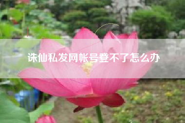 诛仙私发网帐号登不了怎么办