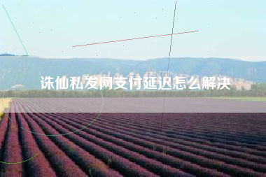 诛仙私发网支付延迟怎么解决