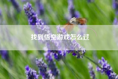 找到悟空游戏怎么过