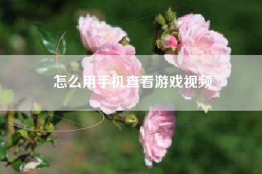 怎么用手机查看游戏视频