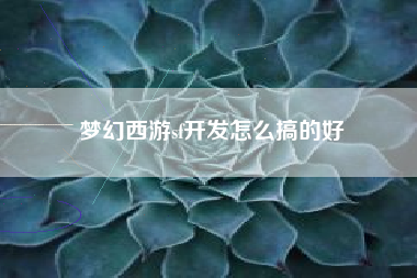 梦幻西游sf开发怎么搞的好