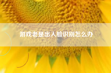 游戏老是出人脸识别怎么办