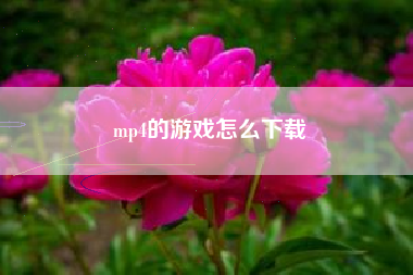mp4的游戏怎么下载