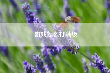 游戏怎么打满级