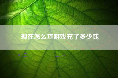 现在怎么查游戏充了多少钱