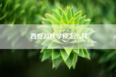 西安游戏学校怎么样