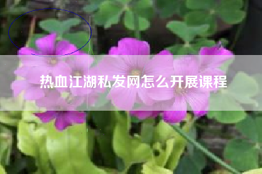 热血江湖私发网怎么开展课程