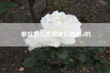 单位怎么控制梦幻西游sf的