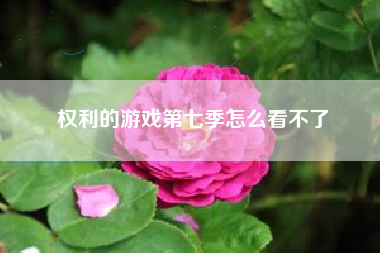 权利的游戏第七季怎么看不了