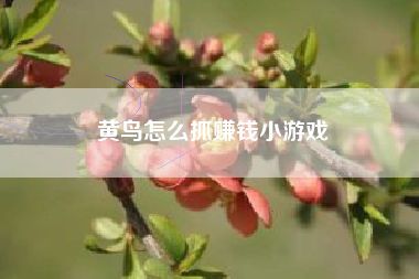 黄鸟怎么抓赚钱小游戏