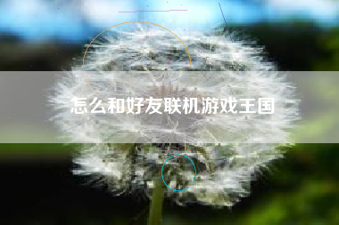 怎么和好友联机游戏王国