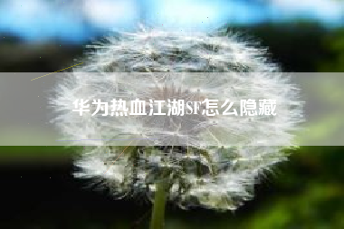 华为热血江湖SF怎么隐藏