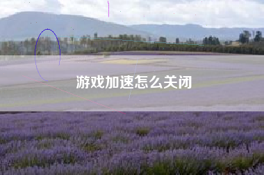 游戏加速怎么关闭