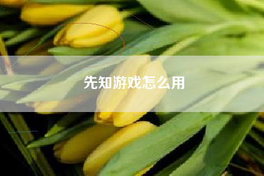 先知游戏怎么用
