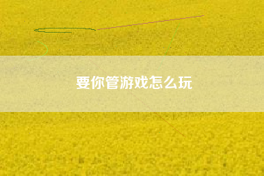 要你管游戏怎么玩