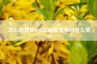 怎么给我放DNF公益服发布网什么奖