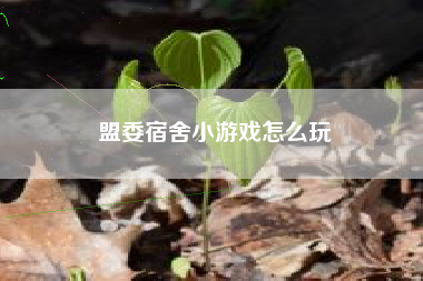 盟委宿舍小游戏怎么玩