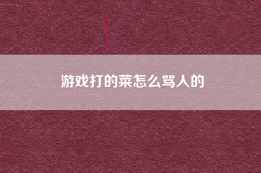 游戏打的菜怎么骂人的