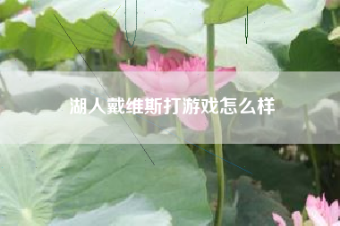 湖人戴维斯打游戏怎么样