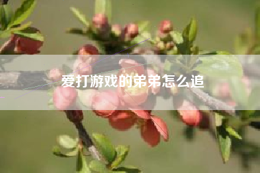 爱打游戏的弟弟怎么追
