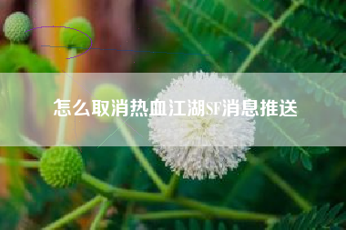 怎么取消热血江湖SF消息推送