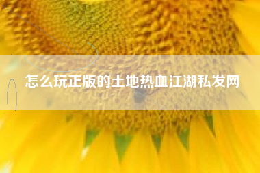 怎么玩正版的土地热血江湖私发网