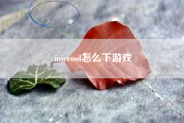 microsd怎么下游戏