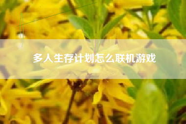 多人生存计划怎么联机游戏