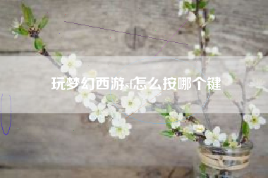 玩梦幻西游sf怎么按哪个键