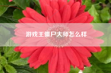 游戏王僵尸大师怎么样
