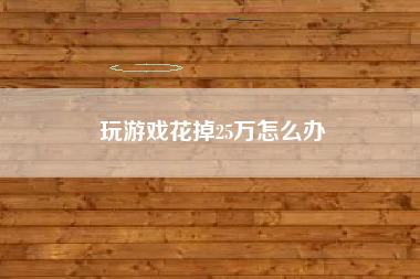 玩游戏花掉25万怎么办