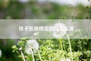 孩子在游戏花的钱怎么退