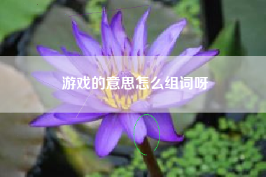 游戏的意思怎么组词呀