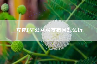 立体DNF公益服发布网怎么折