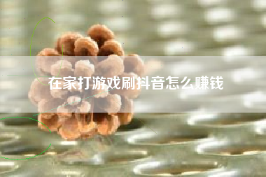 在家打游戏刷抖音怎么赚钱