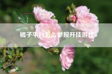橘子平台怎么举报开挂游戏
