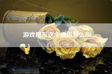 游戏网友这个通俗怎么叫
