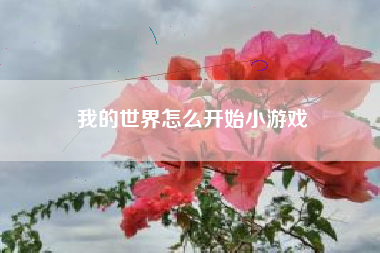 我的世界怎么开始小游戏