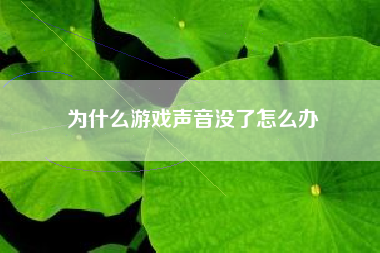 为什么游戏声音没了怎么办