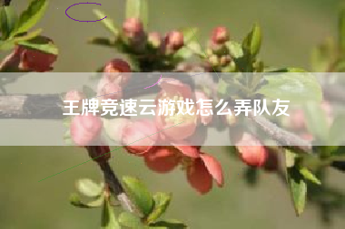 王牌竞速云游戏怎么弄队友