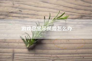 游戏总显示风险怎么办