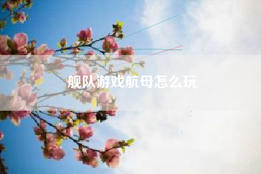 舰队游戏航母怎么玩
