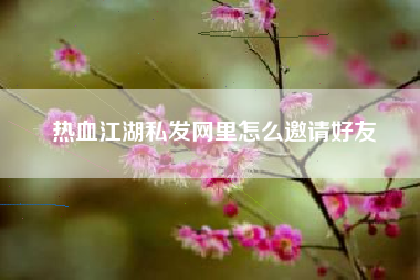 热血江湖私发网里怎么邀请好友