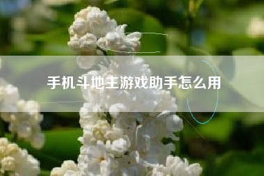 手机斗地主游戏助手怎么用