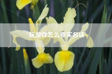 玩游戏怎么要实名证