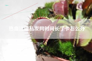 热血江湖私发网时间长了卡怎么办