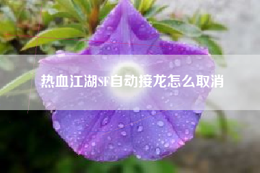 热血江湖SF自动接龙怎么取消