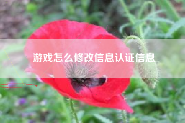 游戏怎么修改信息认证信息