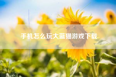手机怎么玩大蓝猫游戏下载